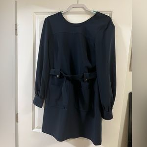Club Monaco Navy Long Sleeved Dress